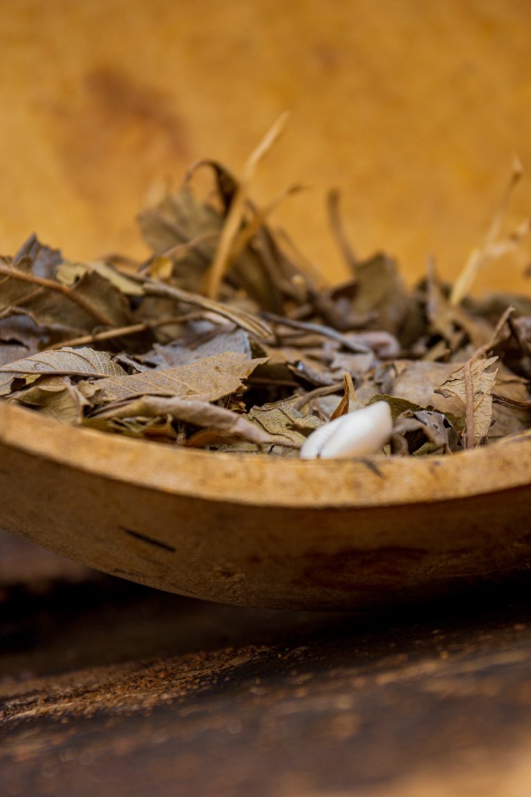 Kinkéliba : la tisane des tisanes