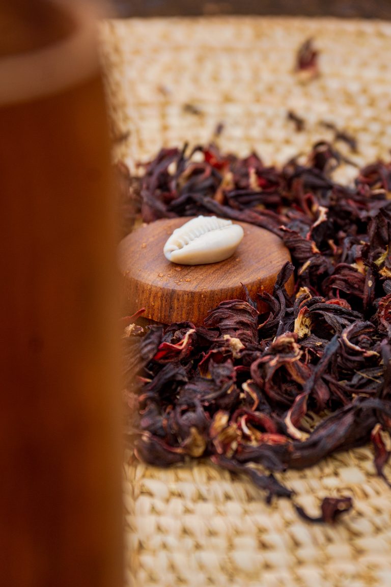 Hibiscus : la fleur éclatante qui unit les générations